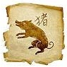 Свинья (кабан) — китайский восточный гороскоп