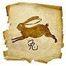 Кролик- Кот — восточный китайский гороскоп