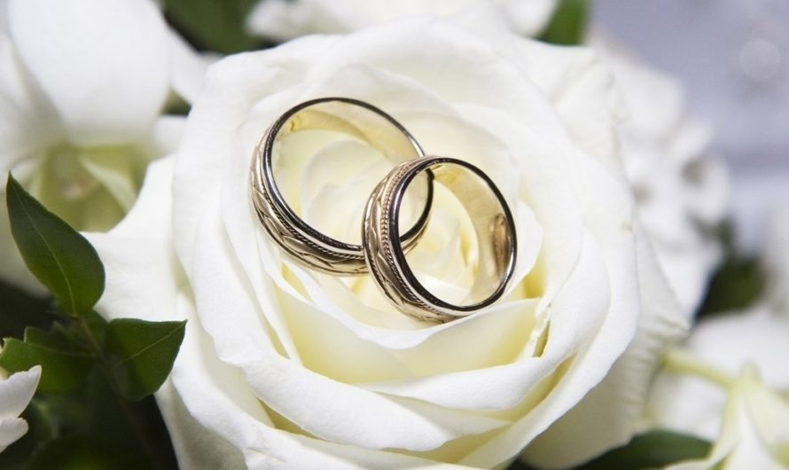 Приснилась свадьба — особенности толкования по разным сонникам